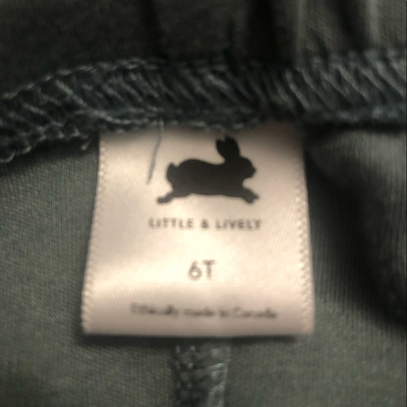 Made in Canada Little and Lively eucalyptus leggings size 6t - Picture 3 of 4